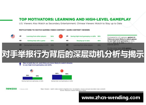 对手举报行为背后的深层动机分析与揭示