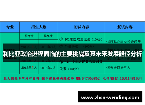 利比亚政治进程面临的主要挑战及其未来发展路径分析